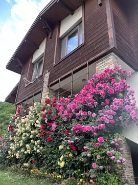 Дом в Краснодарский край, Сочи Красная Поляна пгт,  (150 м)