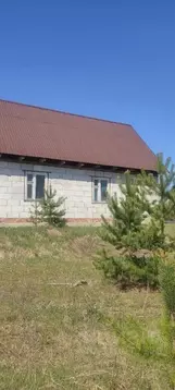 Дом в Мордовия, Зубова Поляна рп ул. Лесопарковая, 6 (61 м)