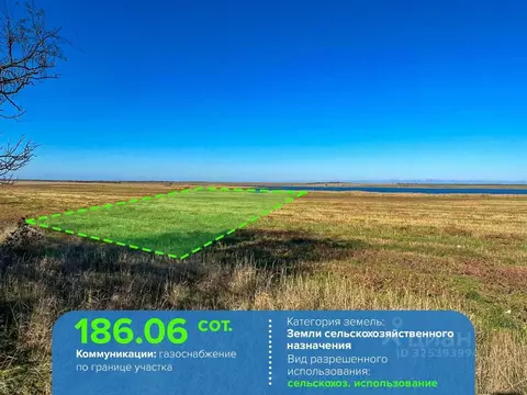 Участок в Омская область, Кормиловский район, Новосельское с/пос  ...