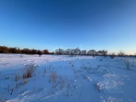 Участок в Курская область, Октябрьский район, Черницынский сельсовет, ...