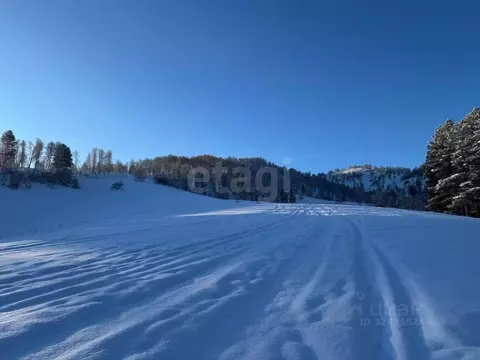 Участок в Алтай, Чемальский район, Узнезинское с/пос, с. Узнезя  (21.7 ...