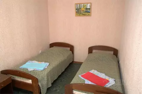 Комната Псковская область, Пушкинские Горы рп ул. Турбаза (20.0 м)