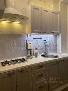 1-к кв. Санкт-Петербург ул. Танкиста Хрустицкого, 70 (31.0 м)