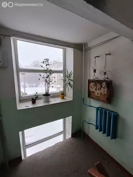 1-комнатная квартира: Чебоксары, улица Чапаева, 11 (31.8 м)