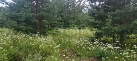 Участок в Свердловская область, Нижний Тагил ул. 70-летия Победы (11.2 ...