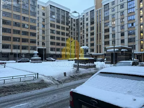 Квартира-студия: Ломоносов, Михайловская улица, 51 (24.4 м)