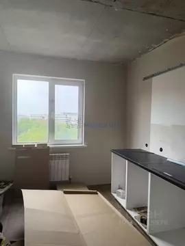 2-к кв. Нижегородская область, Нижний Новгород д. Афонино, ул. ...
