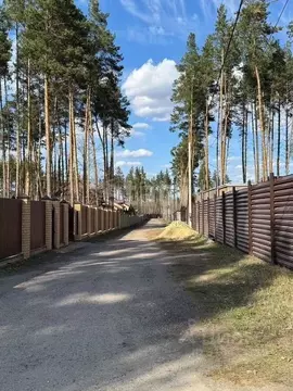 Участок в Воронежская область, Рамонский район, Горожанское с/пос, д. ...