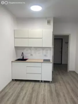 Квартира-студия: Мурино, Воронцовский бульвар, 21к3 (21.3 м)