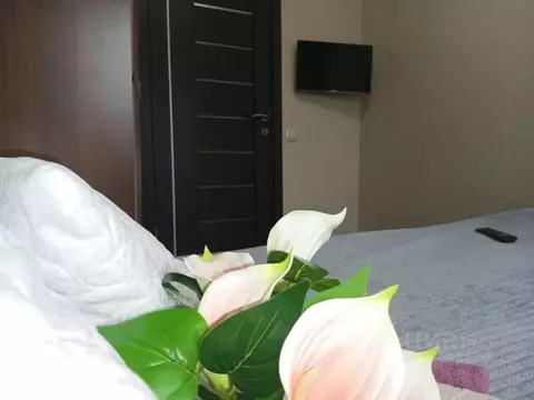 2-к кв. Иркутская область, Ангарск 102-й кв-л, 3 (41.0 м)