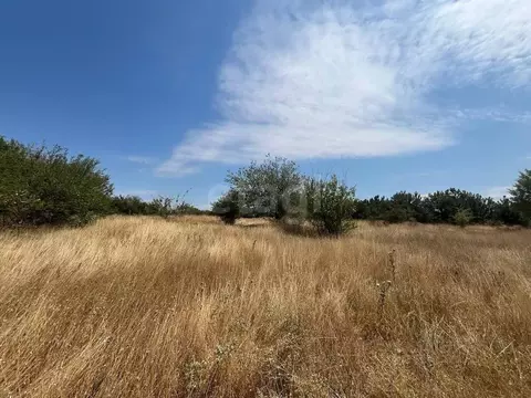 Участок в Крым, Симферопольский район, с. Трудовое  (3.4 сот.)