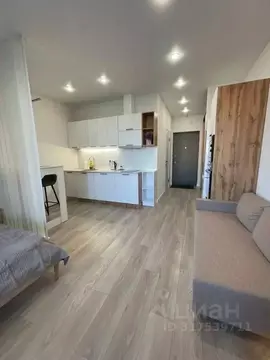 1-к кв. Новосибирская область, Новосибирск ул. Прибрежная, 6 (30.0 м)