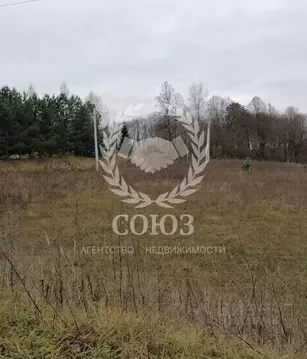 Участок в Калужская область, Боровский муниципальный округ, д. Тюнино ...