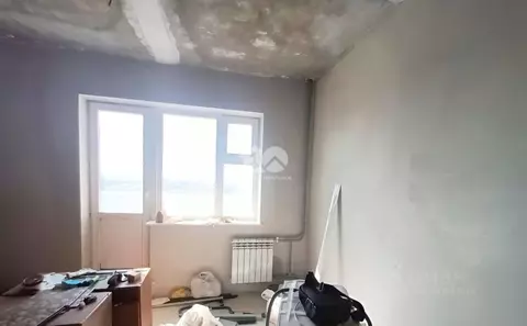 Студия Новосибирская область, Новосибирск ул. Виктора Уса, 4 (23.8 м)