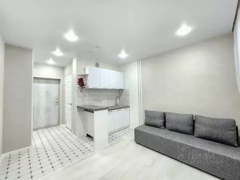 Студия Пензенская область, Пенза ул. Шмидта, 24 (22.0 м)