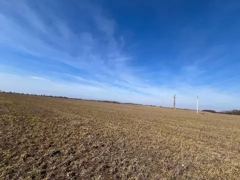 Участок в Крым, Симферопольский район, Николаевка пгт ул. Ленина (6.0 ...