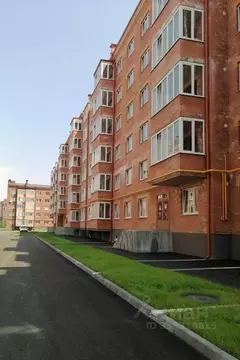 Помещение свободного назначения в Северная Осетия, Владикавказ ул. ...