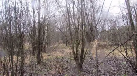 Участок в Московская область, Коломна городской округ, д. Барановка  ...