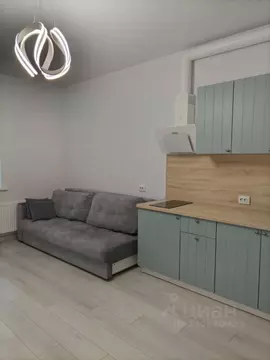 Студия Санкт-Петербург просп. Авиаконструкторов, 61 (25.6 м)