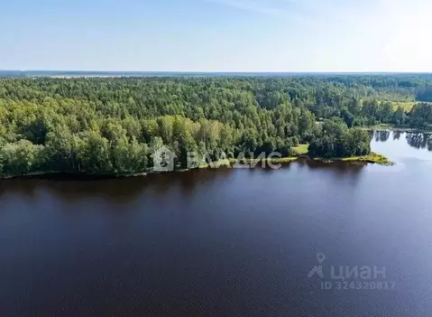 Участок в Ленинградская область, Выборгский район, Полянское с/пос, ...