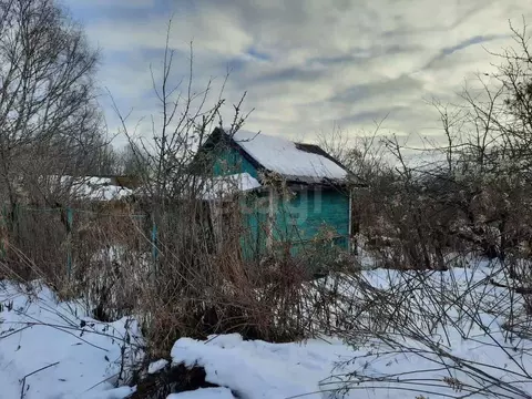 Купить Дачу М