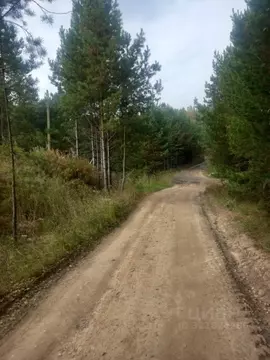 Участок в Свердловская область, Белоярский муниципальный округ, с. ...