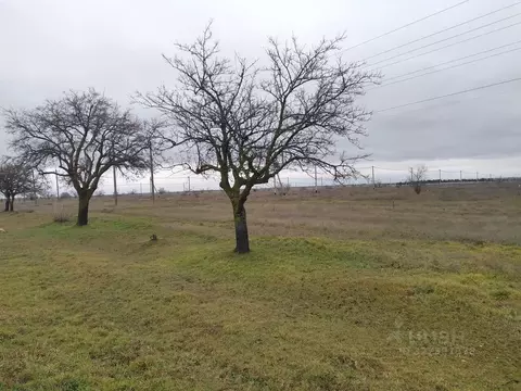 Участок в Крым, Симферопольский район, Николаевка пгт ул. Ленина (6.0 ...