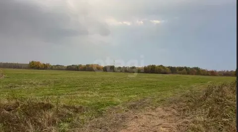 Участок в Хабаровский край, Хабаровский район, Мичуринское с/пос, с. ...