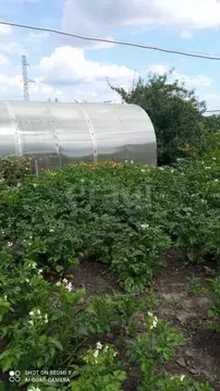 Участок в Курганская область, Курган Надежда СНТ, 118 (12.0 сот.)