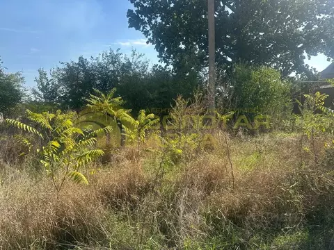 Участок в Краснодарский край, Красноармейский район, Полтавская ст-ца ...