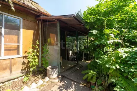 Дом в Красноярский край, Красноярск Свободный просп., 77А/62Г (24 м)