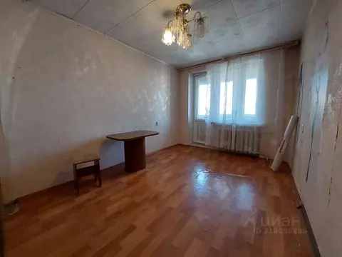 Комната Санкт-Петербург просп. Луначарского, 58К1 (12.7 м)