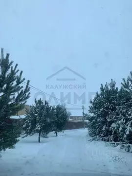 Участок в Калужская область, Перемышльский район, Большие Козлы с/пос, ...