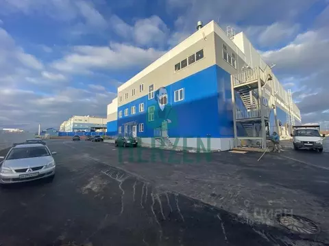 Производственное помещение в Московская область, Домодедово Востряково ...