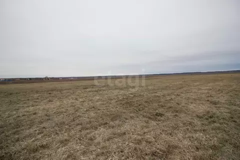 Участок в Калужская область, Дзержинский муниципальный округ, с. ...