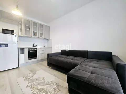 Студия Санкт-Петербург Фарфоровская ул., 7к1 (26.0 м)