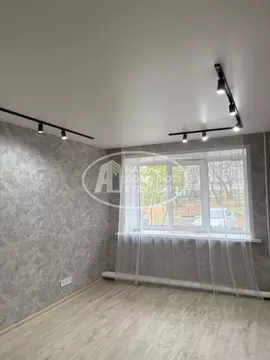 2-к кв. Пермский край, Чернушка ул. Нефтяников, 4 (42.7 м)