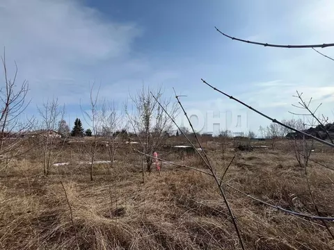 Участок в Новосибирская область, Новосибирский район, Боровской ...