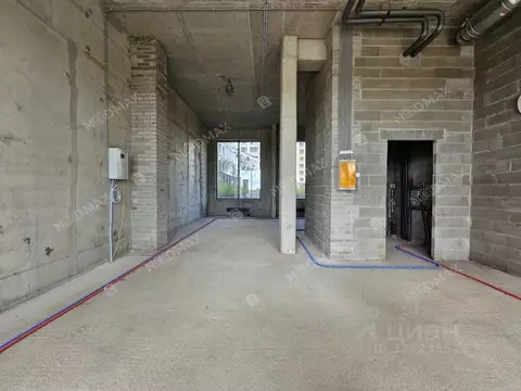 Помещение свободного назначения в Санкт-Петербург ул. Челюскина, 10 ...