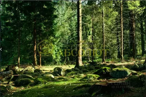 Участок в Свердловская область, Ревда ул. Мирная, 5 (10.5 сот.)