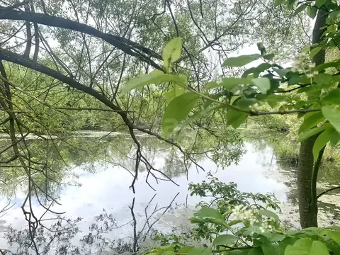 Дом в Калужская область, Село Ферзиково с/пос, д. Китаево 11 (50 м)