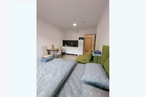 1-к кв. Свердловская область, Екатеринбург ул. Советская, 62Б (30.0 м)