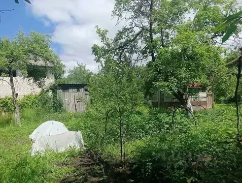 Участок в Брянская область, Брянск Коммунальник садовое общество, 81 ...