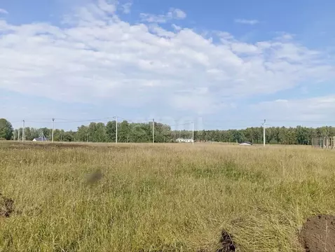 Участок в Алтайский край, Первомайский район, с. Фирсово, Полесье мкр  ...