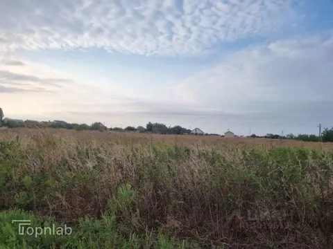 Участок в Краснодарский край, Ейский район, Александровское с/пос, с. ...