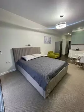 1-к кв. Краснодарский край, Сочи городской округ, Дагомыс пгт ш. ...