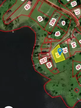 Участок в Новгородская область, Валдайский район, Костковское с/пос, ...