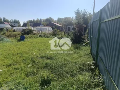 Участок в Новосибирская область, Новосибирский район, Барышевский ...