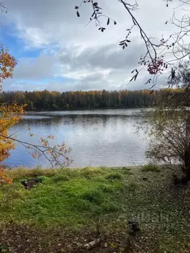 Участок в Ленинградская область, Киришский район, Глажевское с/пос, д. ...