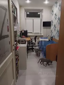 3-к кв. Санкт-Петербург 12-я Васильевского острова линия, 53 (53.4 м)